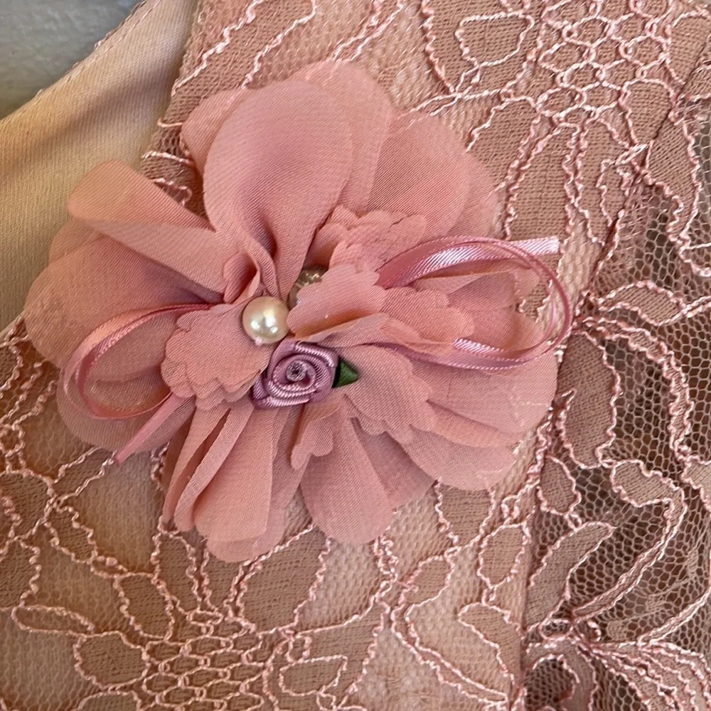 Pippa & Julie girls long sleeve LACE stretch formal dress blush pink size 14